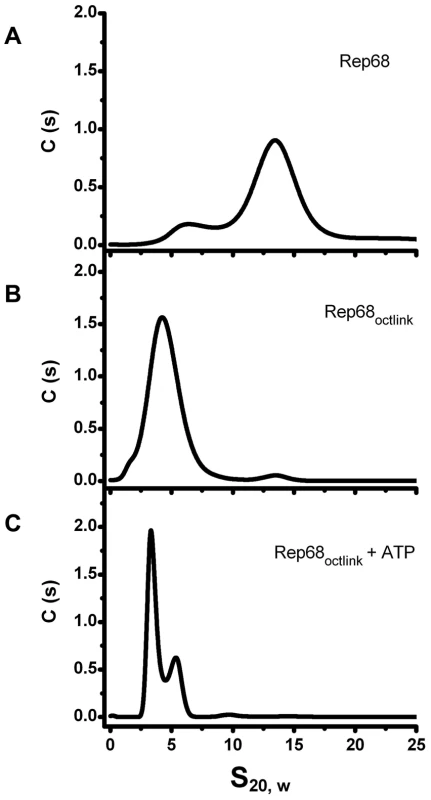 Effect of Linker replacement in Rep68 oligomerization.