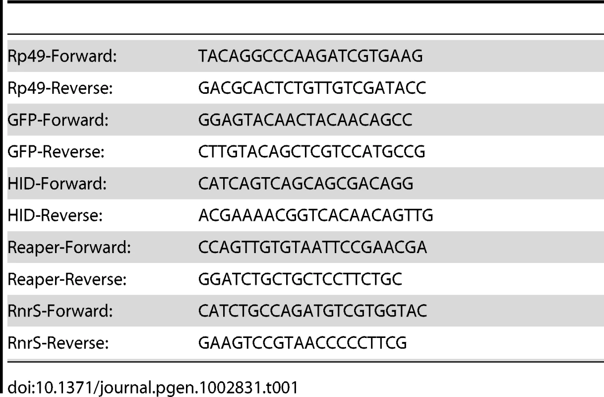 Primers for qRT–PCR.