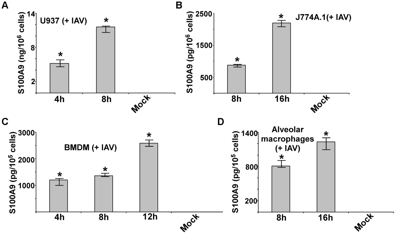 Production of S100A9 from IAV infected macrophages.