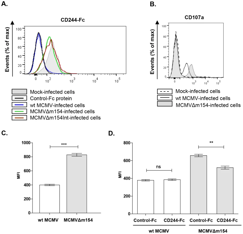m154-mediated downregulation of CD48 in the infected cell diminishes CD244 recognition and provokes impaired NK degranulation.