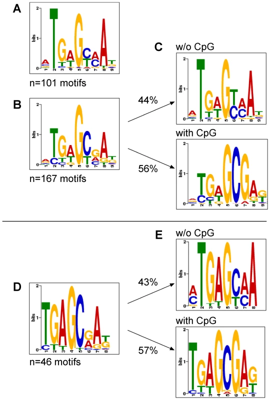 Motif discovery of Zta bound to unmethylated, CpG-methylated EBV DNA or Raji cell chromatin.