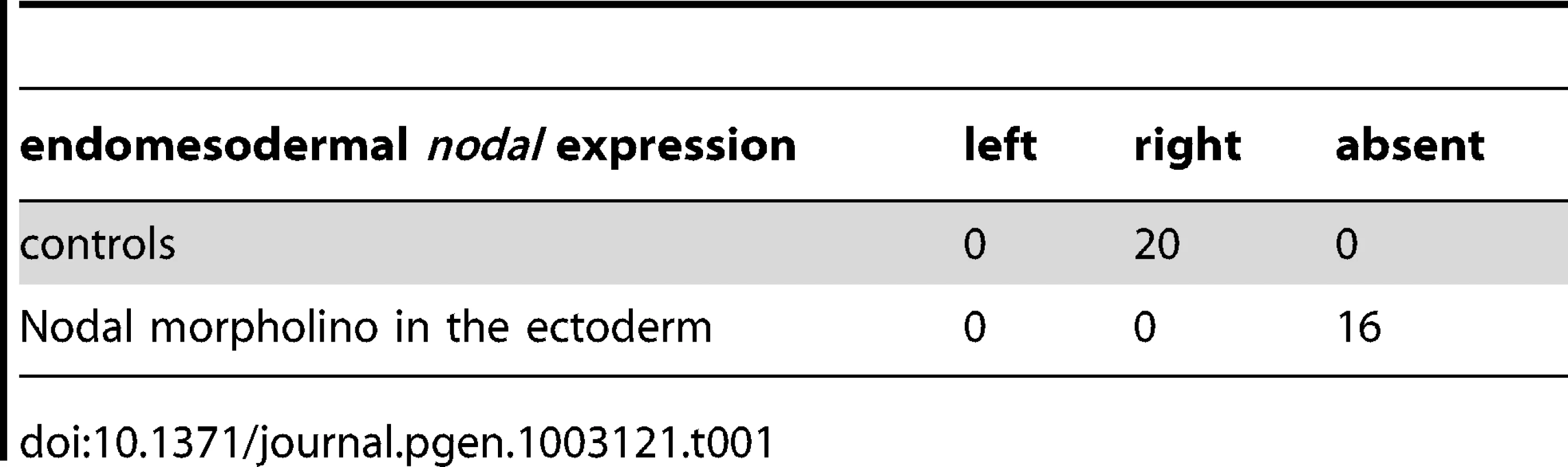 Expression of &lt;i&gt;nodal&lt;/i&gt; in the endomesoderm following inhibition of Nodal signaling in the ectoderm.