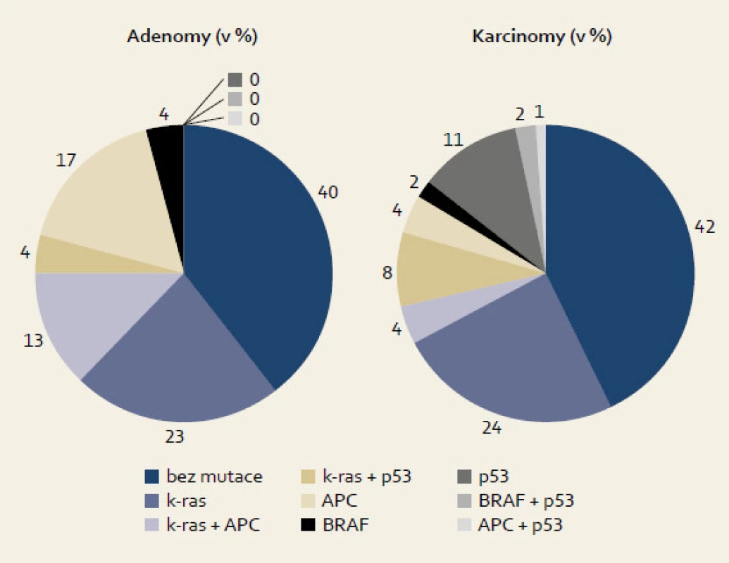 Porovnání četnosti mutací u adenomů a karcinomů.
Fig. 3. Comparison of mutation frequency in adenomas and carcinomas.