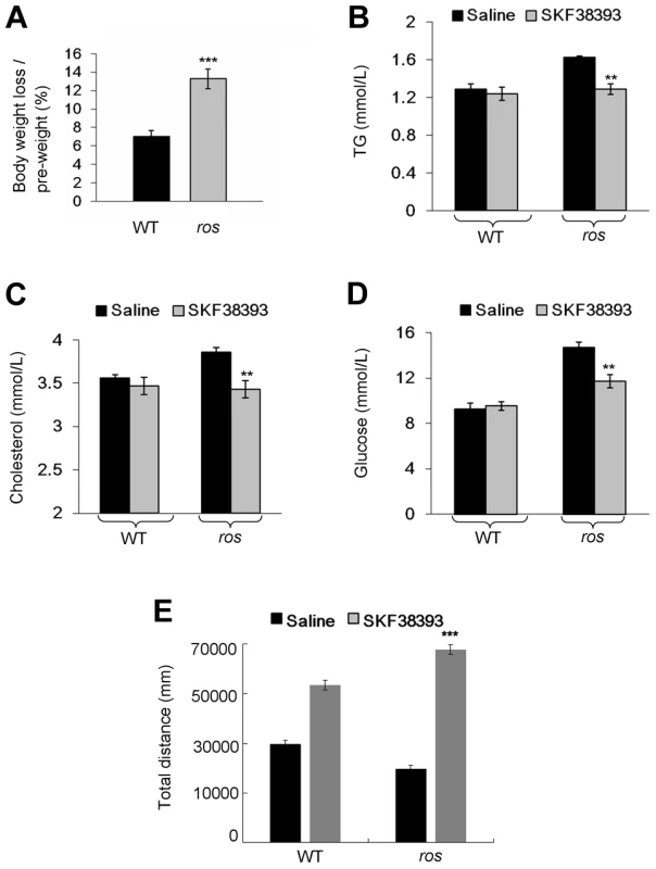 Effect of SKF38393 treatment on body weight loss, serum lipids and glucose, and activity of wild-type or <i>ros</i> mice.