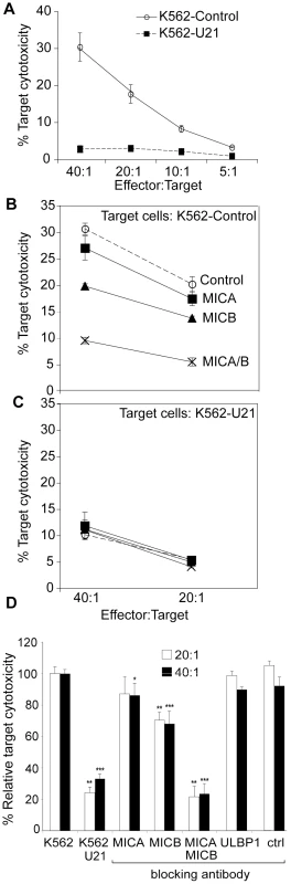 Expression of U21 in K562 cells reduces sensitivity to NKL-mediated cytotoxicity.