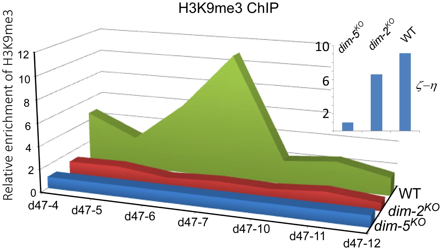 Histone H3K9me3 modification in the <i>disiRNA</i> loci is dependent on DIM-2.