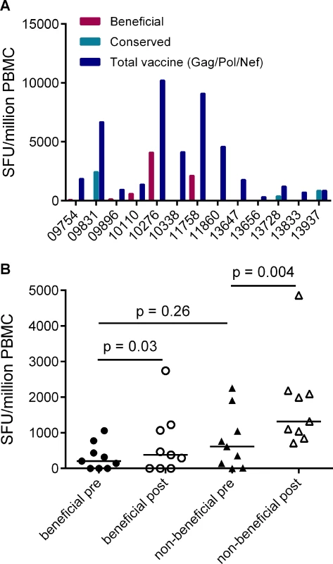 Vaccines based on full-length protein immunogens elicit subdominant responses to beneficial regions and / or conserved elements within the HIV proteome.
