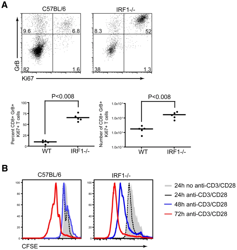 Proliferative capacity of <i>IRF-1</i><sup>-/-</sup> CD8<sup>+</sup> T cells.