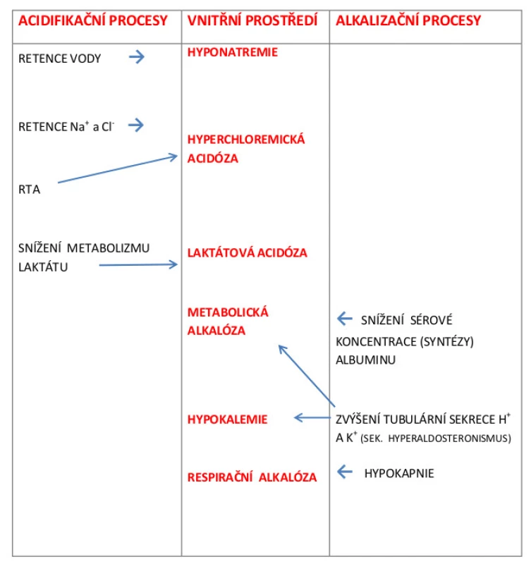 Vliv acidifikačních a alkalizačních procesů na biochemické změny ve vnitřním prostředí u pacientů s ACJ
