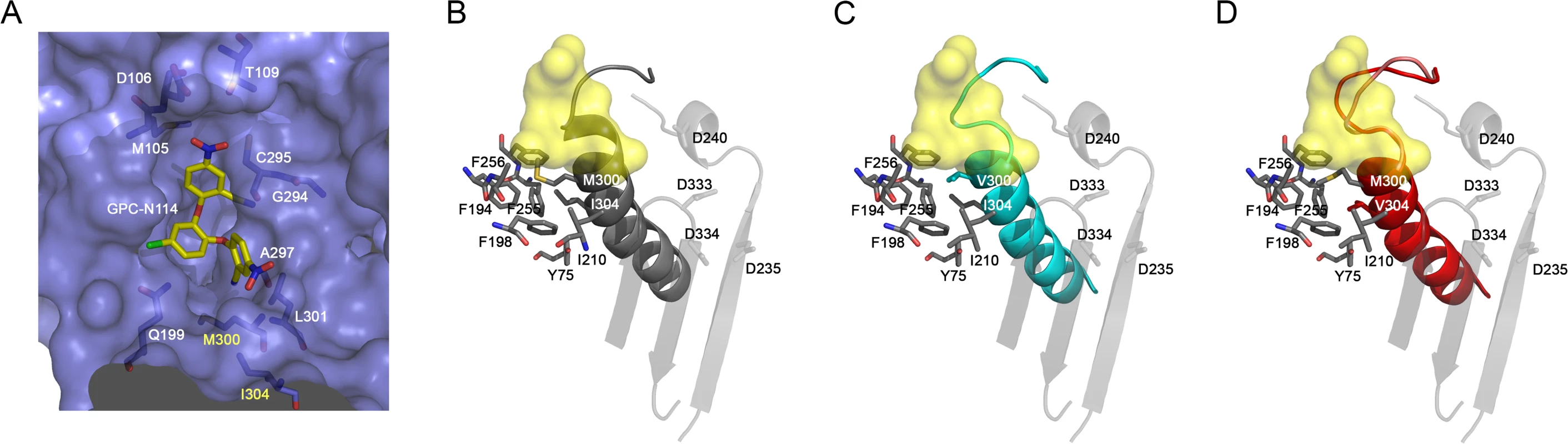 Effects of mutations M300V and I304V on the GPC-N114 binding site in EMCV 3D<sup>pol</sup>.