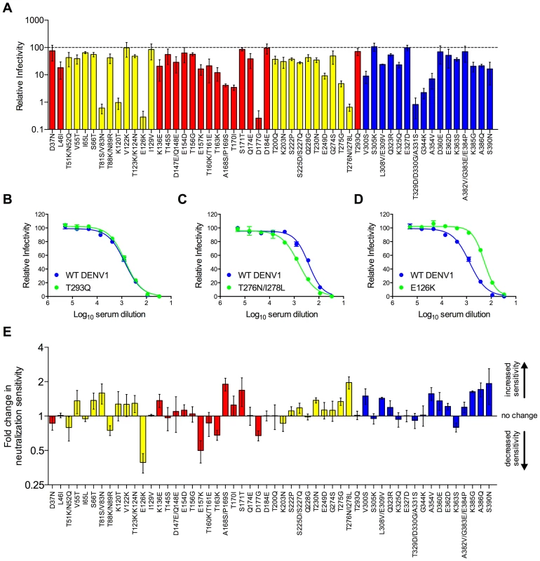 Impact of mutations on the neutralization potency of DENV1 immune serum.