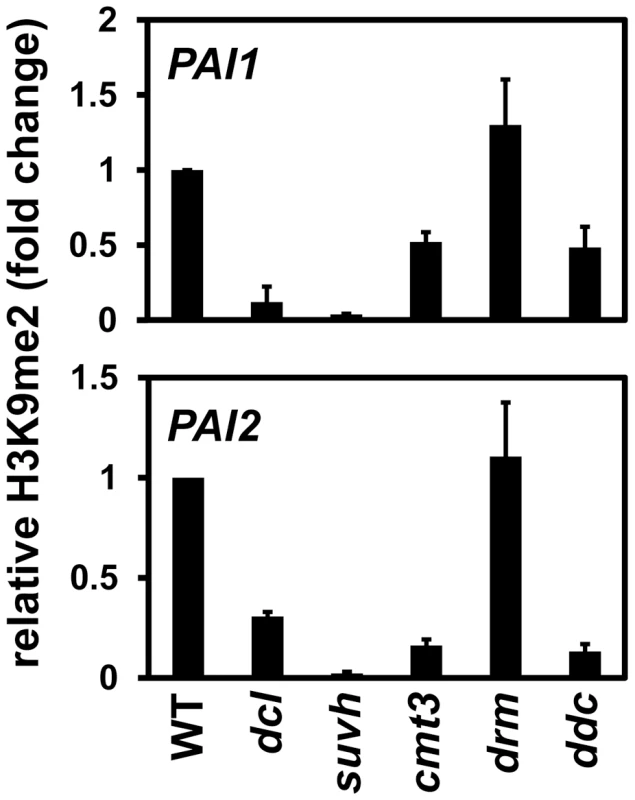 <i>PAI1</i> and <i>PAI2</i> H3K9me2 levels are reduced in the <i>dcl2 dcl3 dcl4</i> mutant.