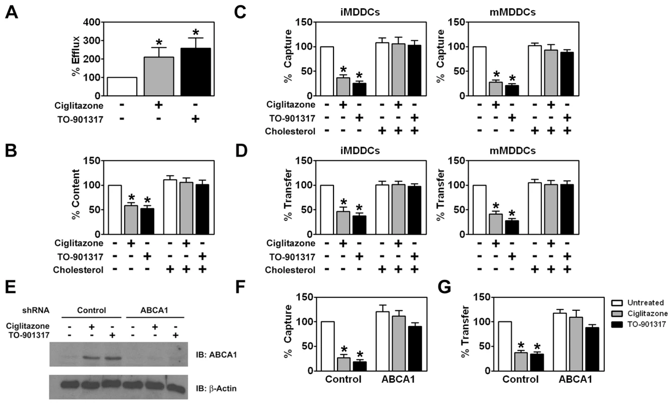 PPARγ and LXR signaling inhibit HIV-1 capture and transfer by MDDCs via ABCA1-dependent cholesterol efflux.