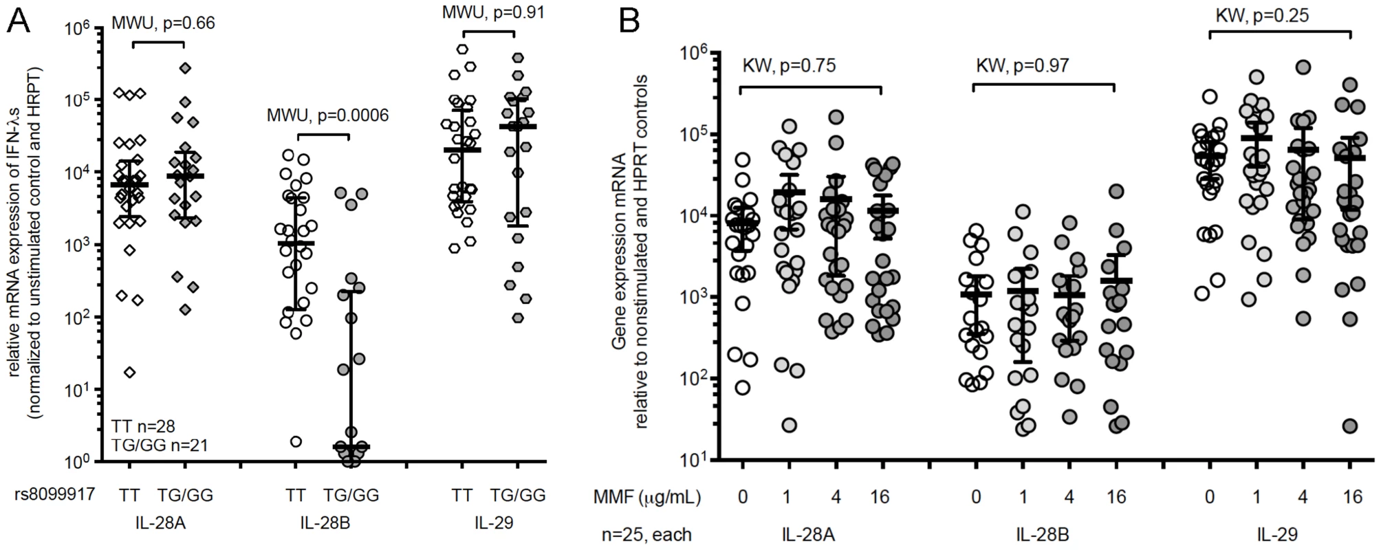 The minor-allele IL-28B genotype is associated with significantly lower expression of IL-28B, but not IL-29 or IL-28A mRNA in healthy volunteers.