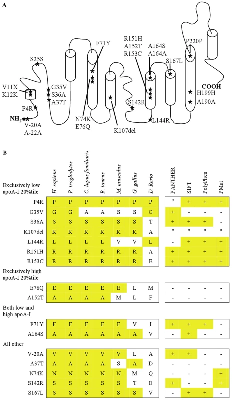 Nonsynonymous and synonymous variants in <i>APOA1</i>.