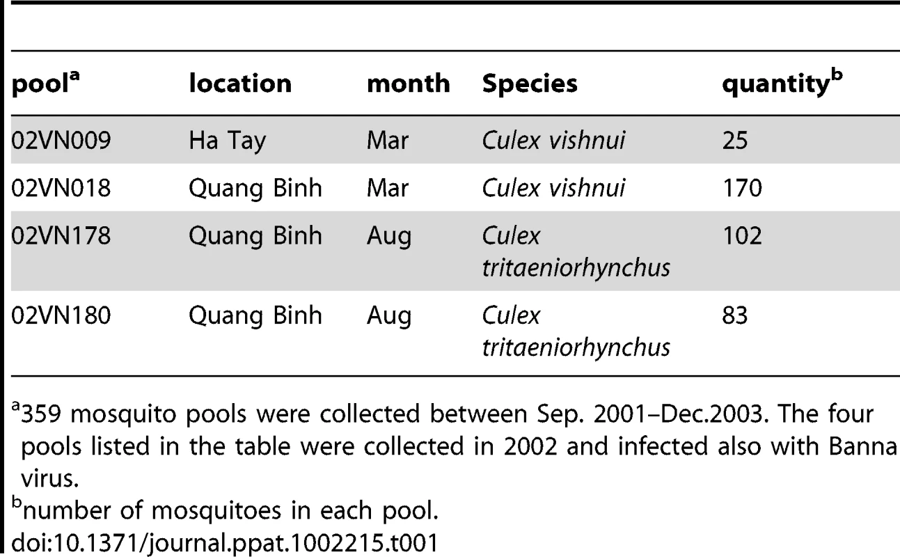 Mosquito pools collected in Vietnam from which NDiV was isolated.