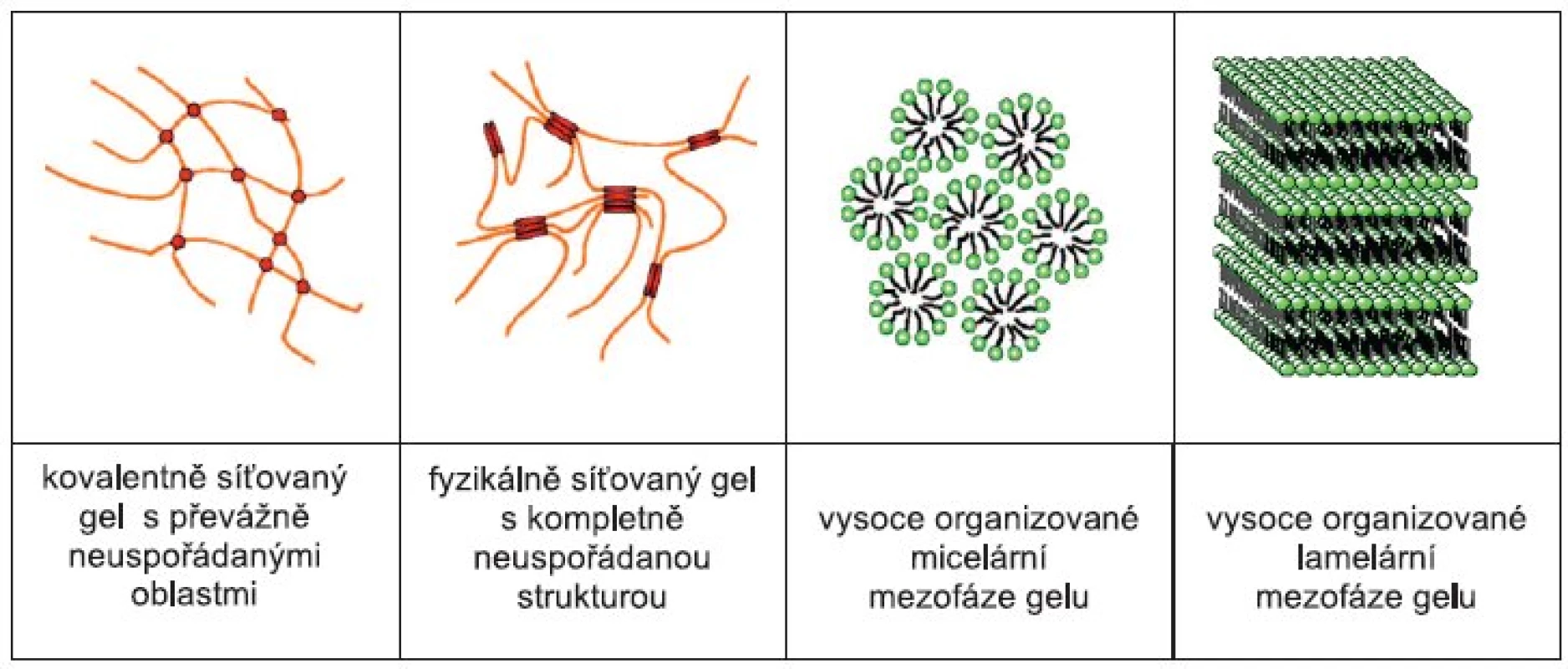 Mikrostruktura gelů 9)