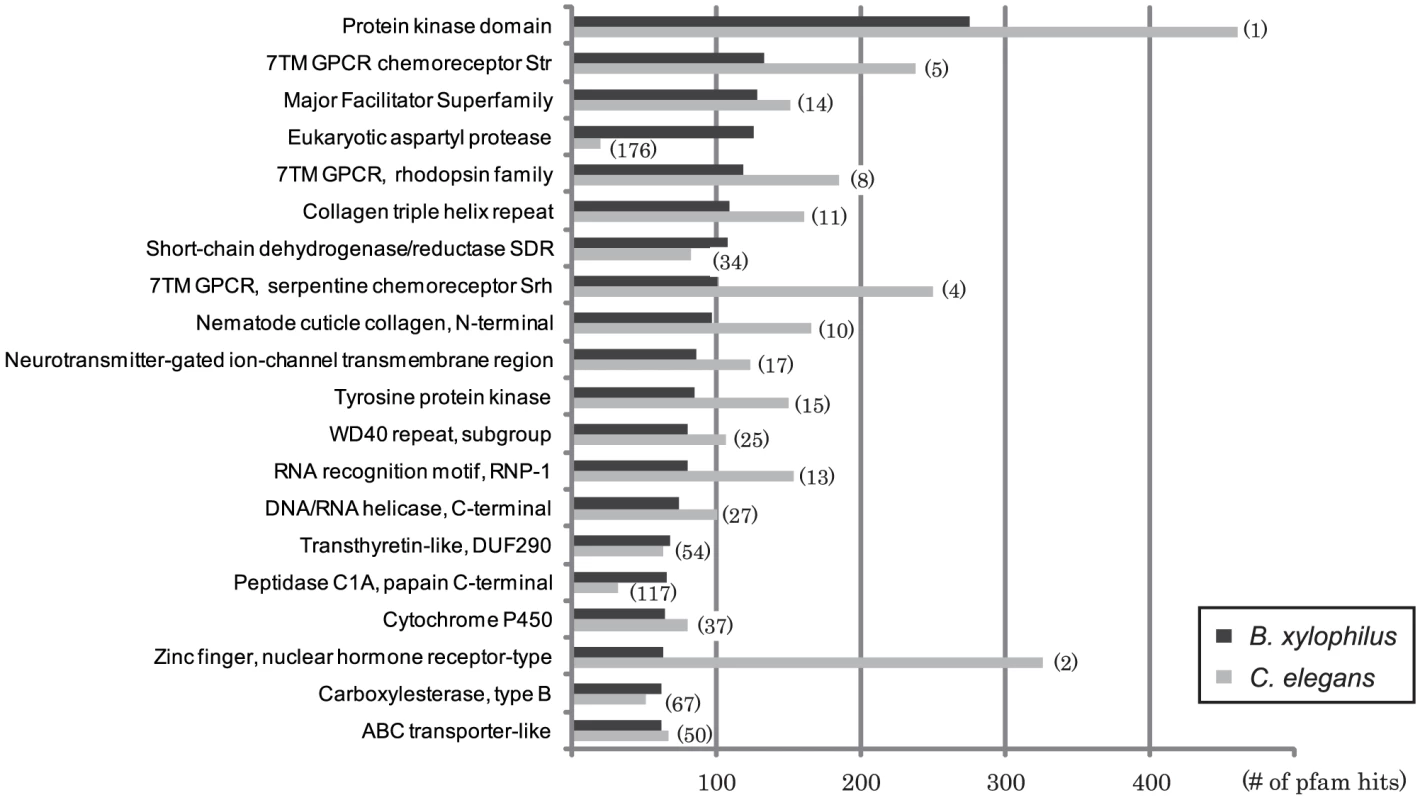 The most frequent Pfam domains found in <i>B. xylophilus</i> compared with those in <i>C. elegans</i>.