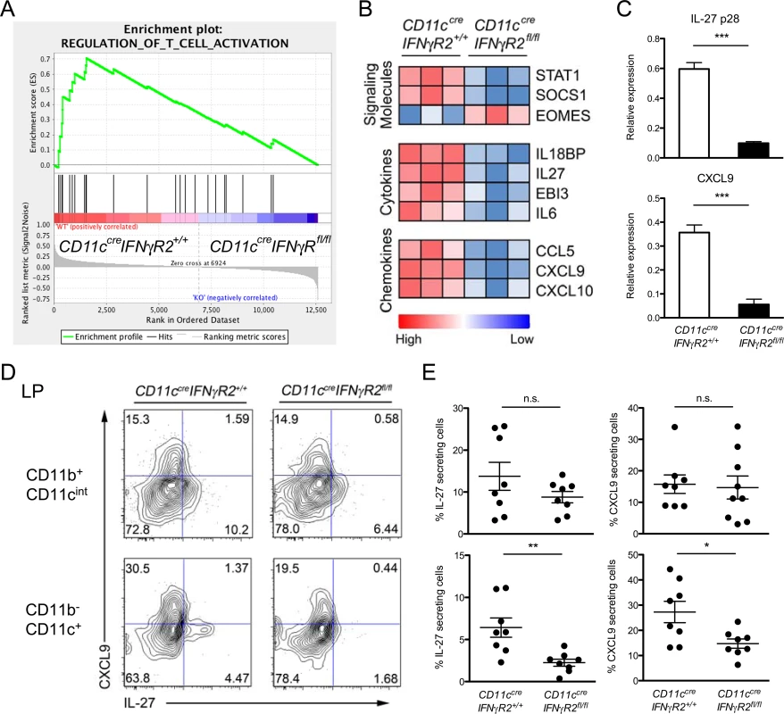 IFNγR2-deficient DCs failed to produce IL-27 as well as other molecules potentially important for Th1-Treg cell differentiation during <i>T</i>. <i>gondii</i> infection.