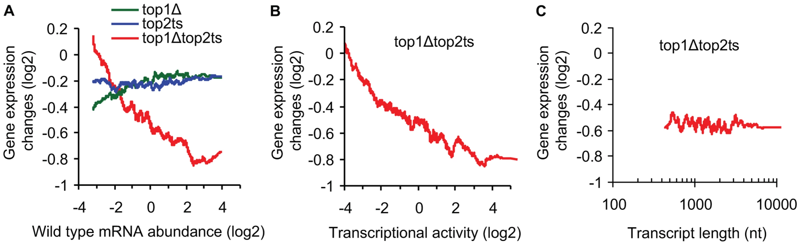 Transcriptional activity and not transcript length reflects topoisomerase dependency.