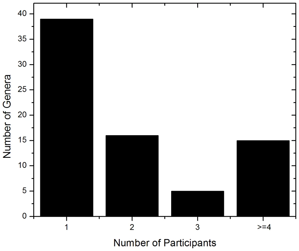 Frequency distribution of identified fungal genera among the study participants.