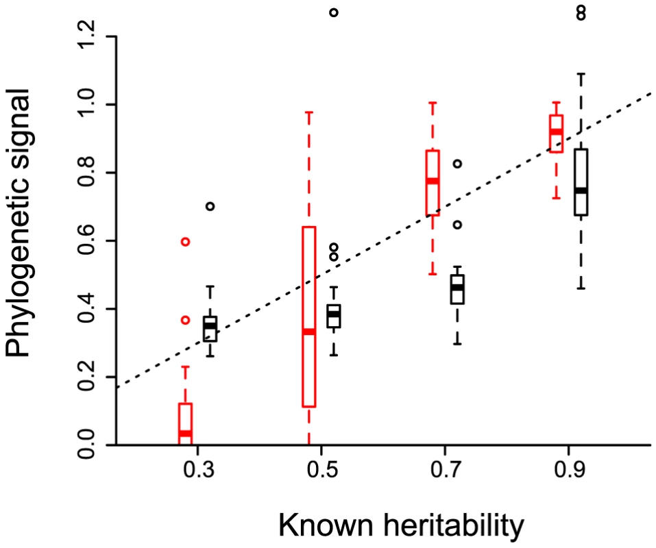 Phylogenetic signal estimated for evolutionary processes with known heritability.