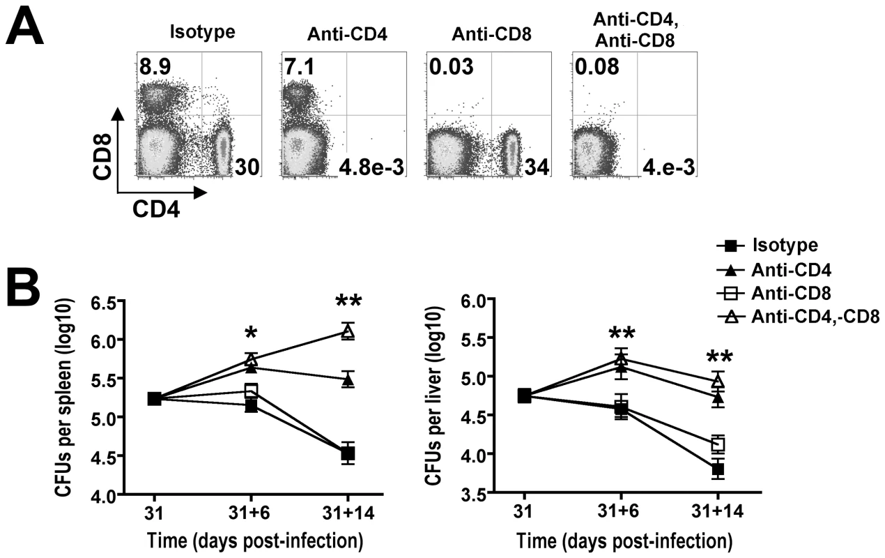 CD4<sup>+</sup> T cells are required for reductions in <i>Salmonella</i> pathogen burden during persistent infection.