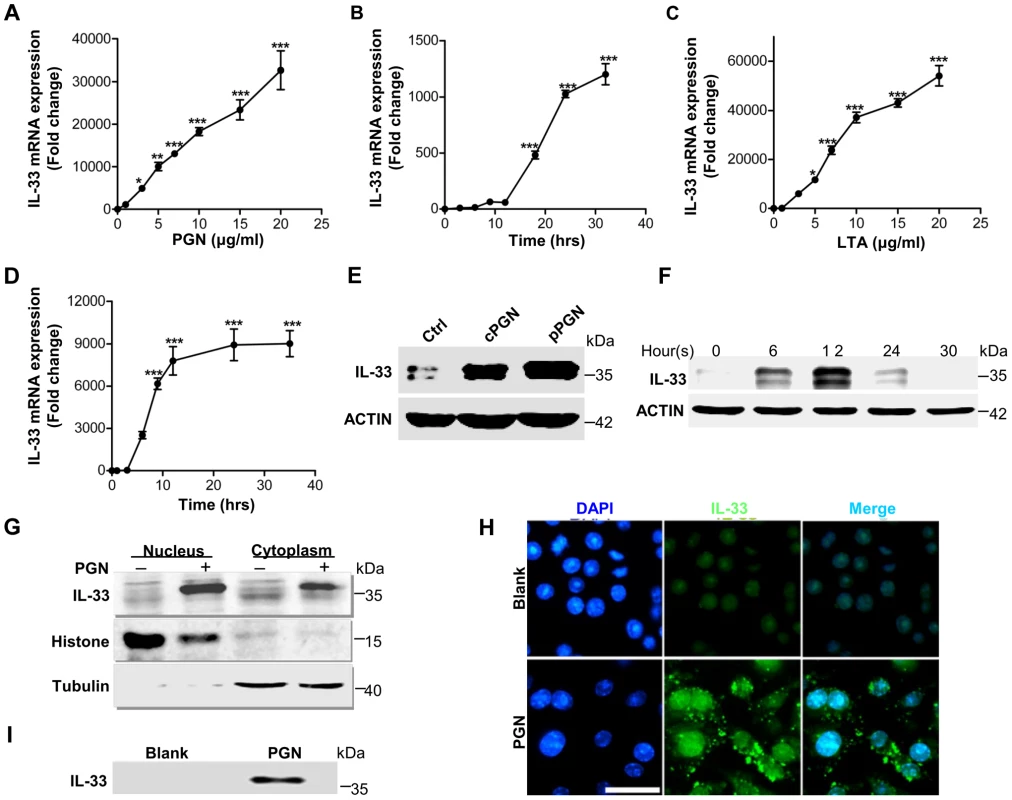 IL-33 expression induced by <i>S.aureus</i>-derived PGN and LTA in macrophages.