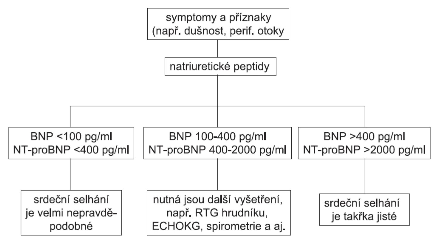 Algoritmus diagnostického využití plazmatických koncentrací natriuretických peptidů BNP a NT-proBNP u dosud neléčených nemocných, kteří mají symptomy a příznaky vzbuzující podezření na srdeční selhání (podle 13) BNP – natriuretický peptid typu B (brain natriuretic peptide), NT-proBNP – N-terminální konec prohormonu BNP, ECHOKG – echokardiografie
