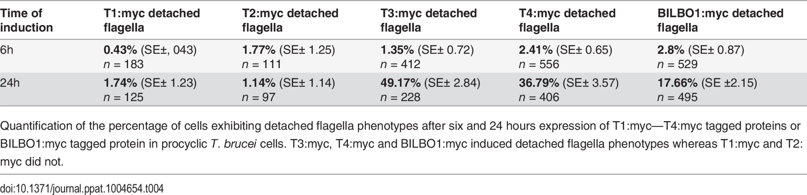 T1:myc—T4:myc and BILBO1:myc detached flagellum phenotypes after expression <i>T. brucei</i> cells.
