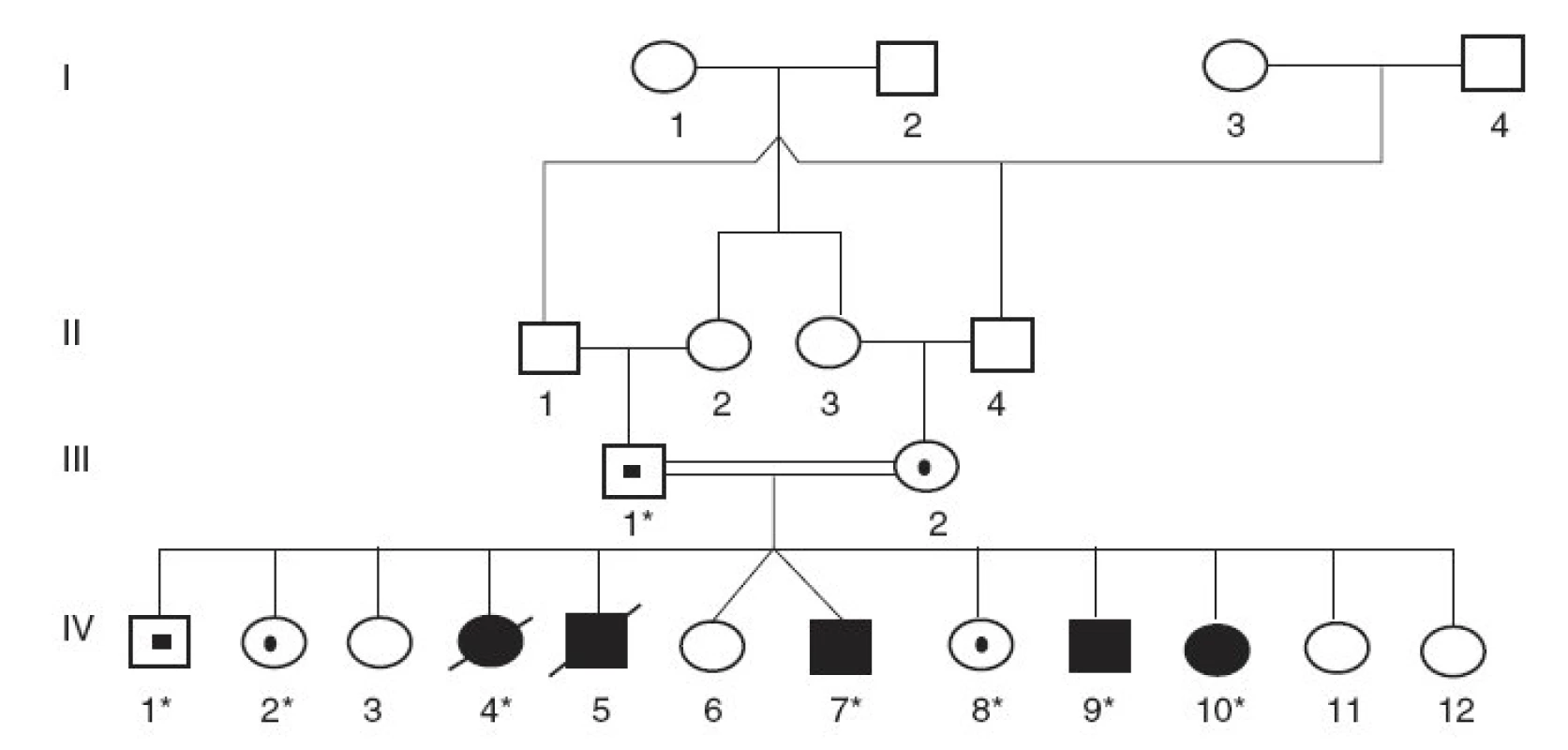 Rodokmeň rómskej rodiny s Criglerovým-Najjarovým syndrómom typu I. (* označuje členov rodiny, od ktorých sme získali DNA vzorky)