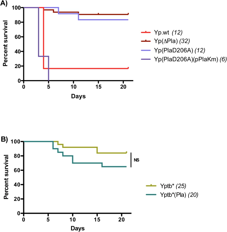 Mortality rates and kinetics in mice infected with A) <i>Y</i>. <i>pestis</i> or B) <i>Y</i>. <i>pseudotuberculosis</i> strains.