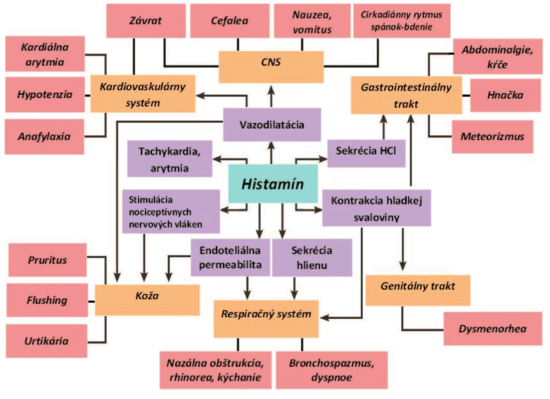 Vplyv histamínu na orgánové systémy a jeho nežiadúce účinky v organizme.