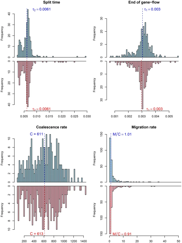 Parameter estimates for the human/chimpanzee split with the isolation-with-migration model.