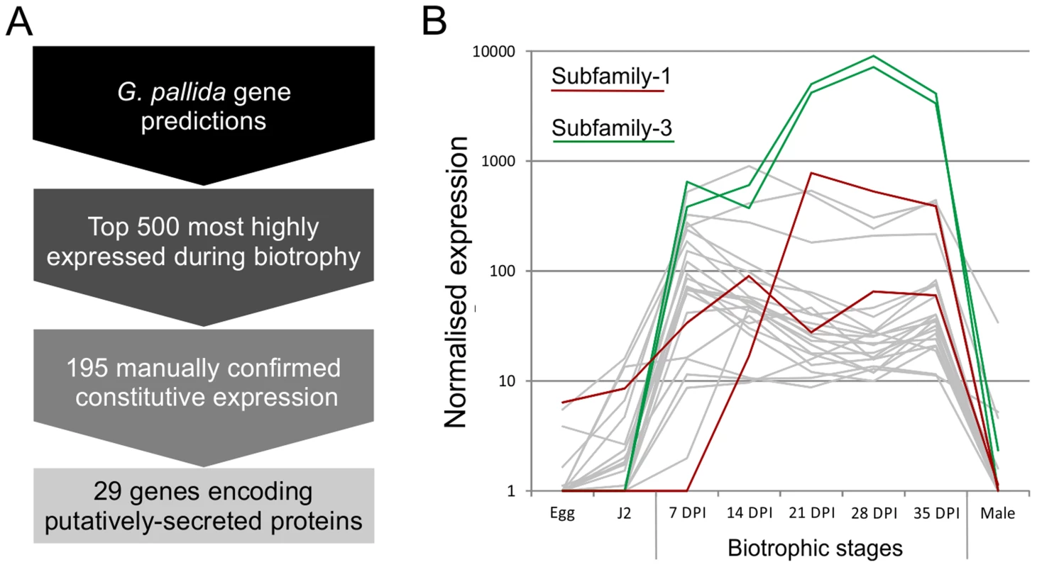 Pipeline for identification of genes involved in plant-nematode biotrophy.