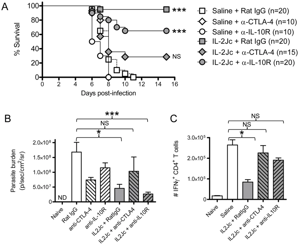 IL-2Jc-mediated protection against ECM is dependent on CTLA-4 more than IL-10.