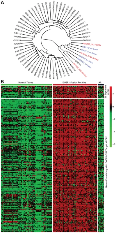 Molecular profiling of Ewing sarcoma family tumors using RNA sequencing data.