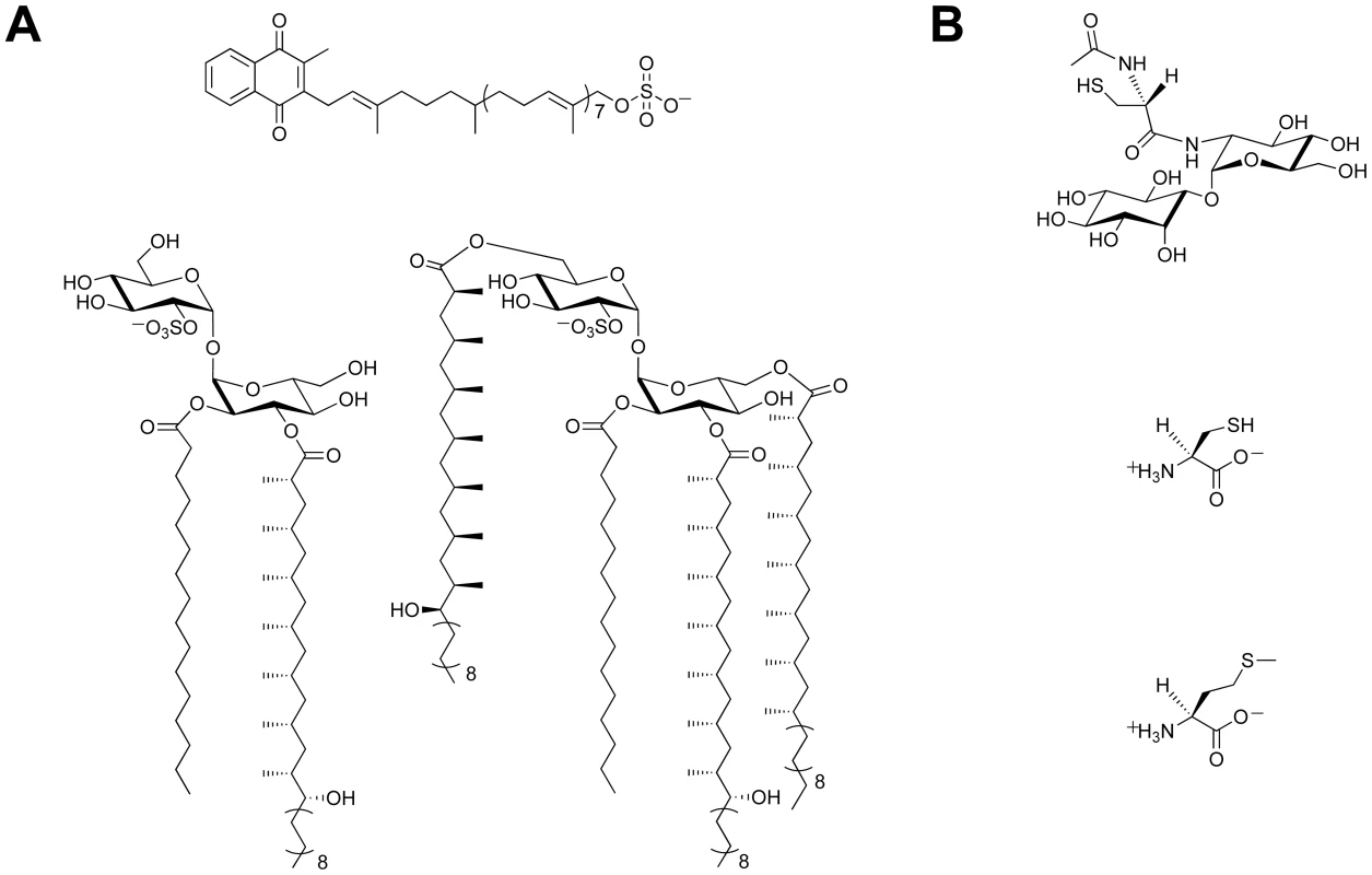 Sulfur-containing metabolites from <i>Mtb</i>.