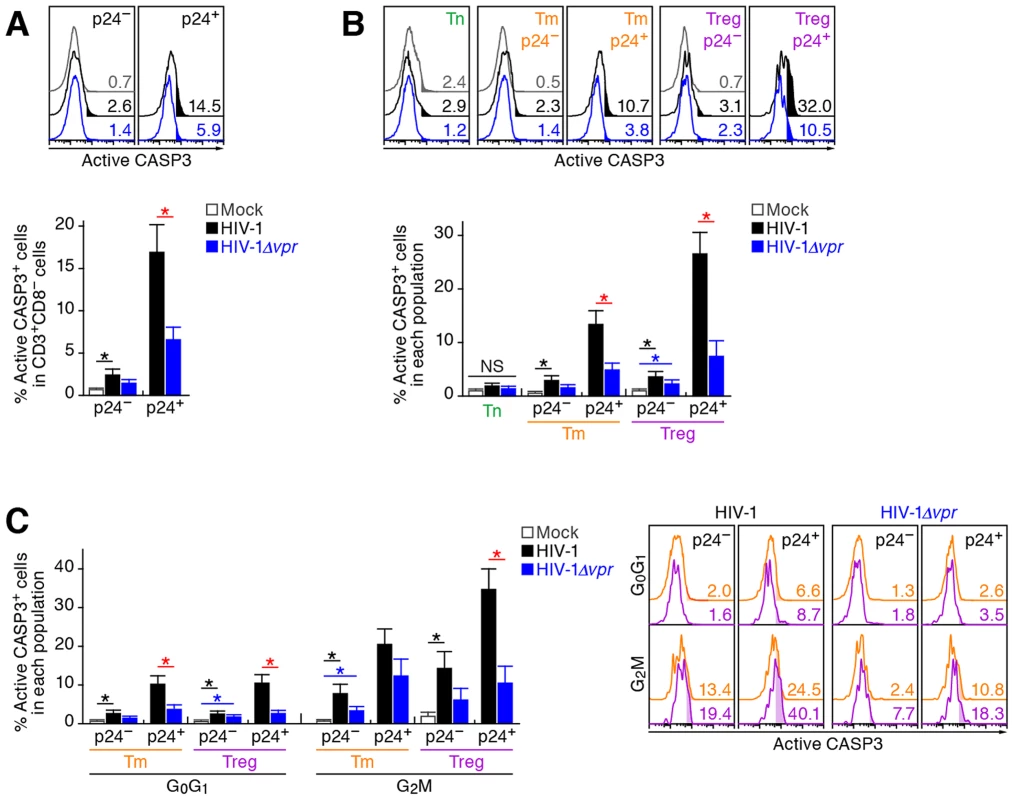 Effect of Vpr on apoptosis and its relevance in G<sub>2</sub> cell cycle arrest in infected humanized mice.