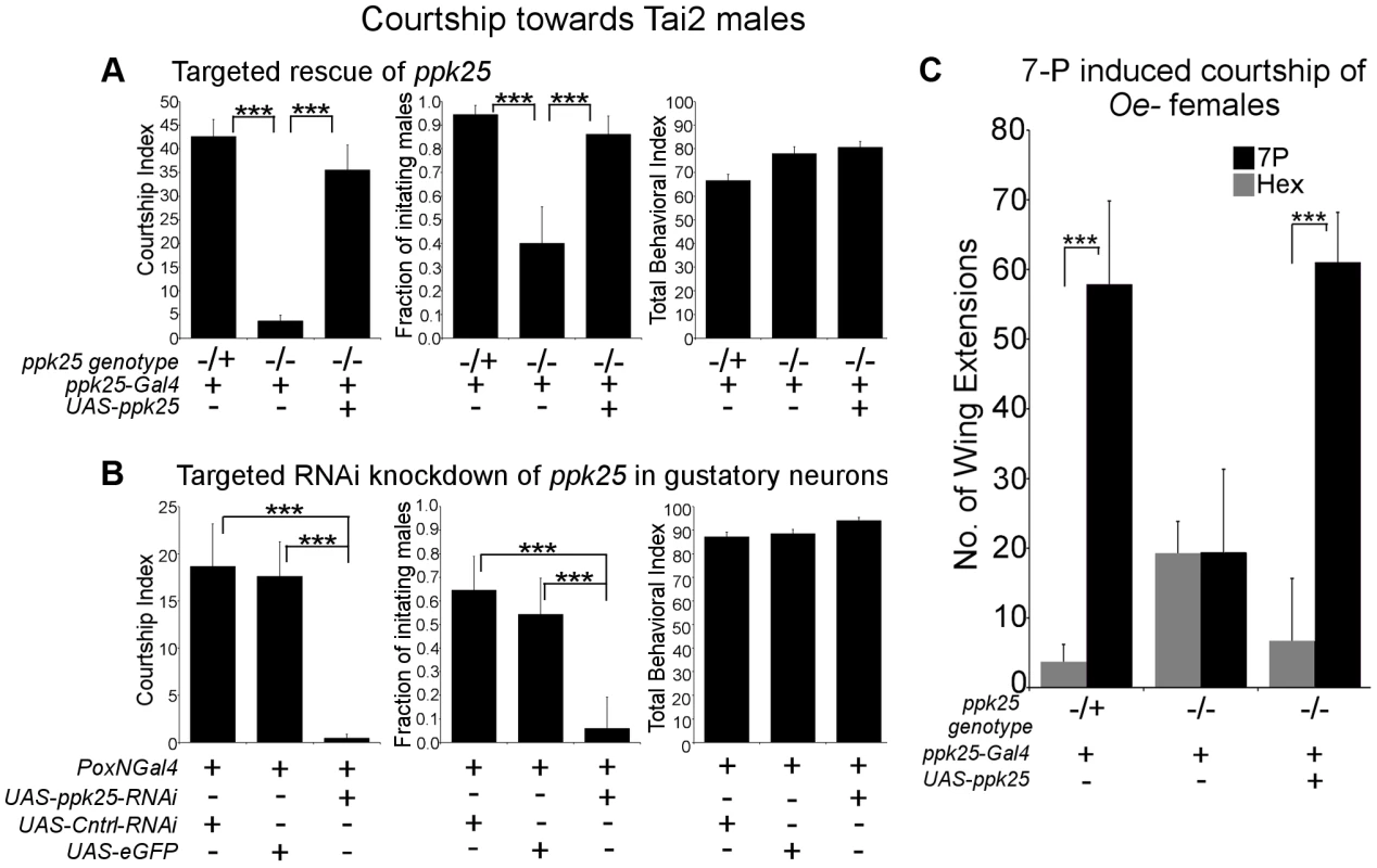 <i>ppk25</i> function in gustatory neurons is required for courtship stimulation by <i>Tai2</i> males or 7-pentacosene.