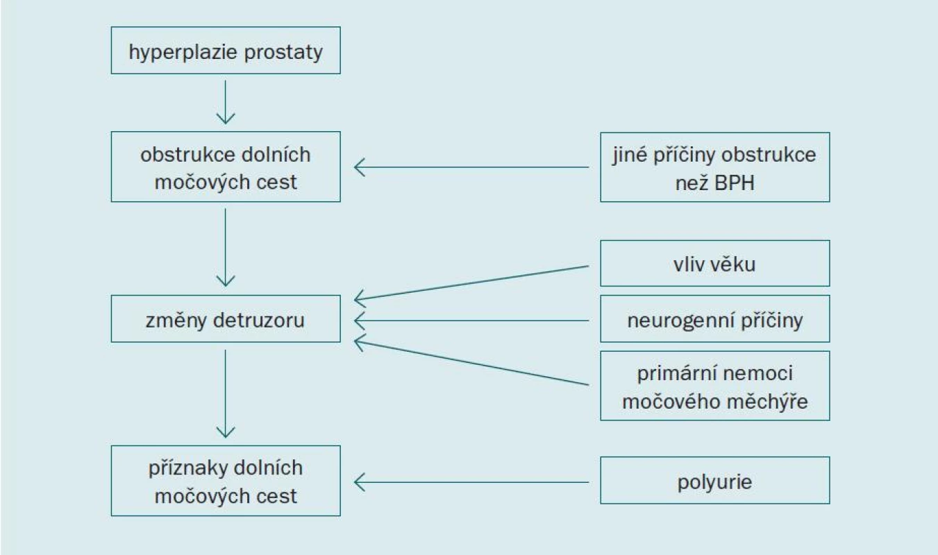 Patofyziologie BPH zahrnující komplexní interakci mezi uretrální obstrukcí, detruzorovou funkcí a produkcí moči [3].