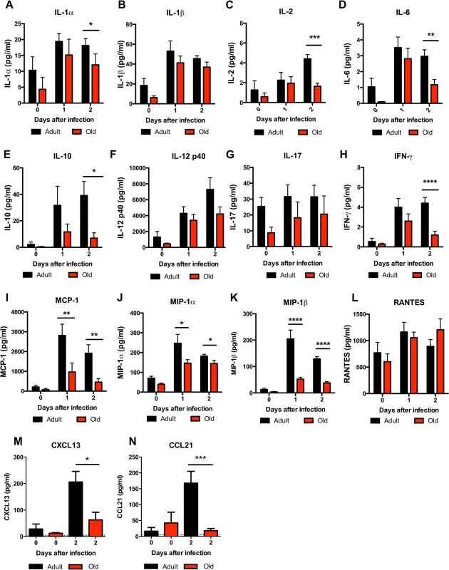 Decreased levels of cytokines and chemokines in the DLN of old mice.