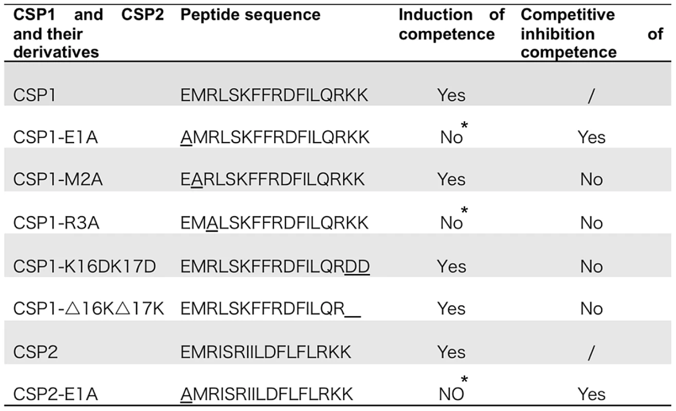 Amino acid sequences of CSP1 and CSP2, and their analogues.