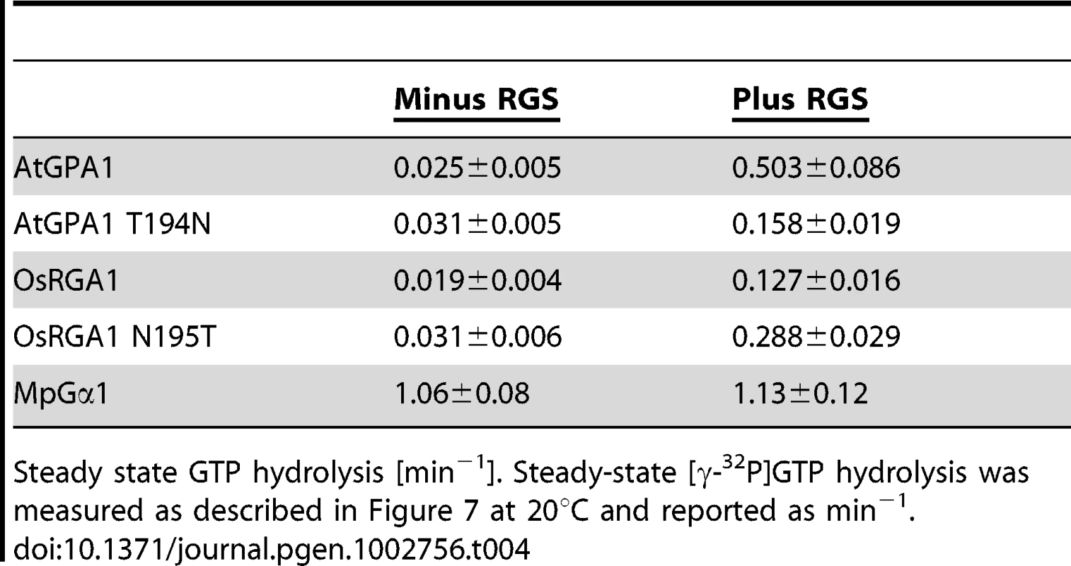 Rates of steady state GTP hydrolysis.