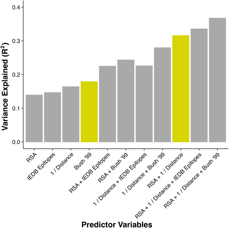 Proportion of variance in <i>dN</i>/<i>dS</i> explained by different linear models.