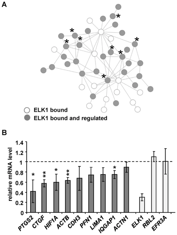 ELK1 controls a network of actin/migration-related genes.