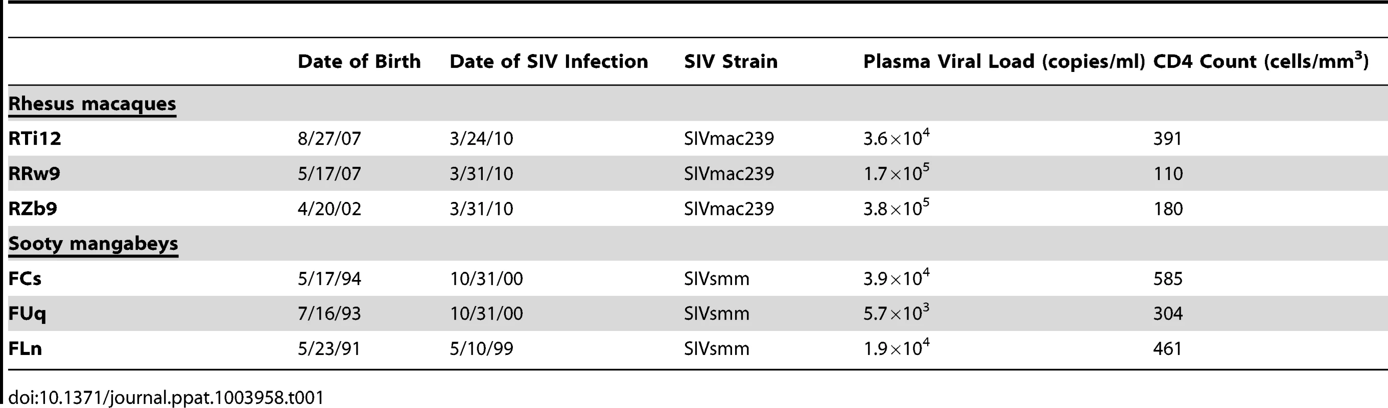 Clinical characteristics of chronically SIV-infected, female nonhuman primates.