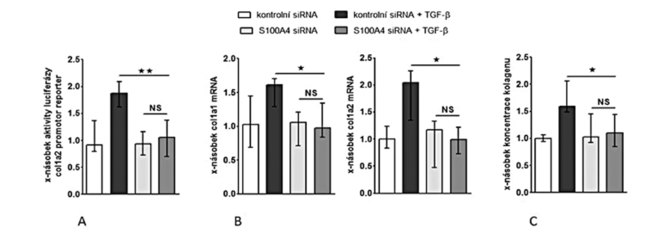 Inhibice S100A4 pomocí siRNA tlumí stimulační účinky TGF-ß na produkci kolagenu.