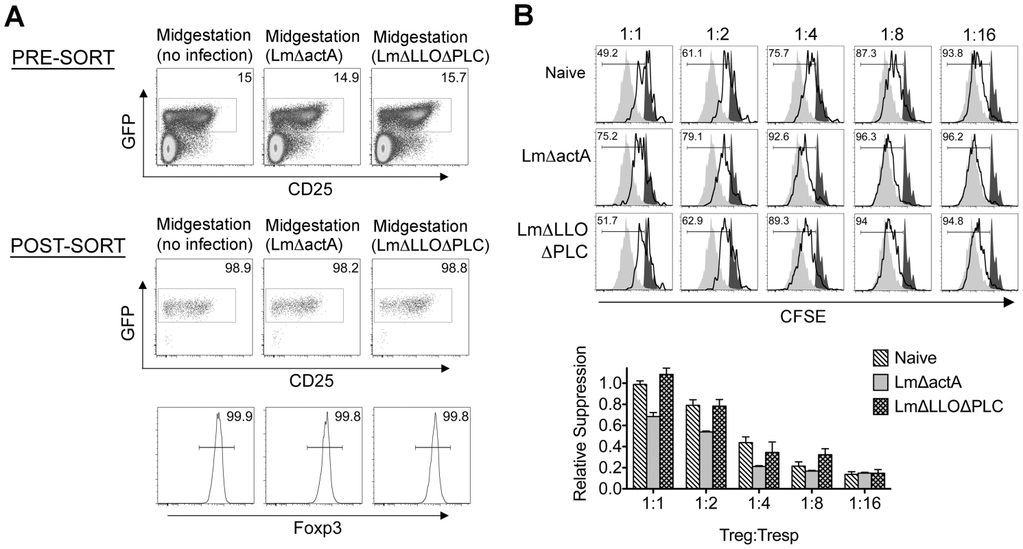 <i>Listeria monocytogenes</i> cytoplasmic entry dampens maternal Foxp3<sup>+</sup> regulatory CD4 T cell suppressive potency.