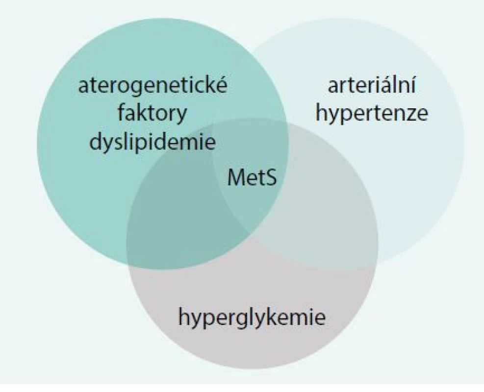 Patogenetické faktory metabolického syndromu